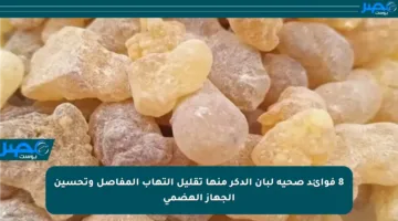 8 فوائد صحية لبان الدكر منها تقليل التهاب المفاصل وتحسين الجهاز الهضمي